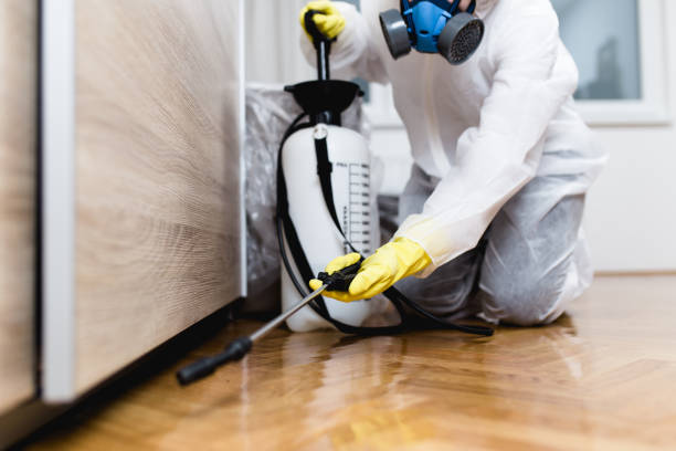 Best Pest Removal Services  in Mokena, IL