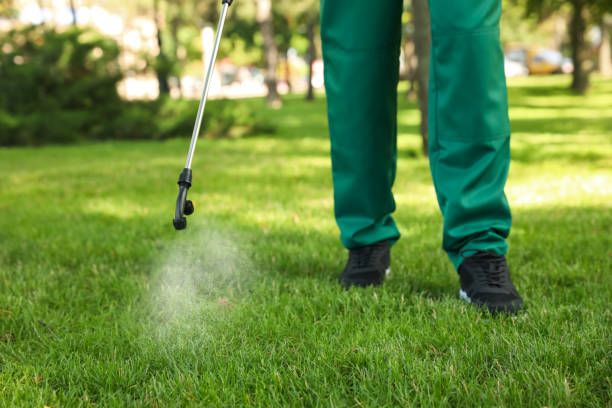 Best Wasp Removal Services  in Mokena, IL