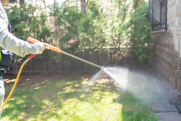 Trusted Mokena, IL Pest Control Experts