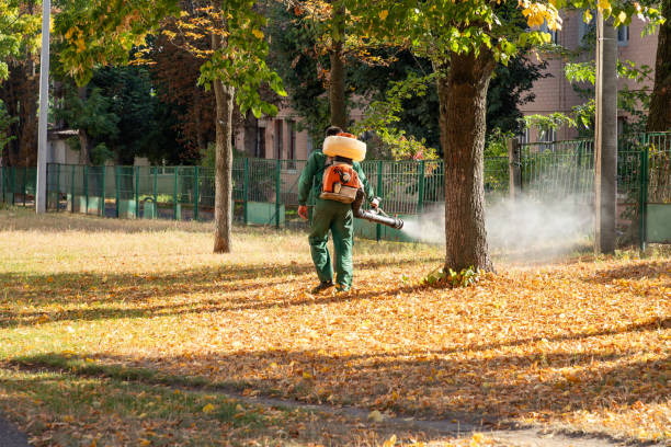 Best Exterminator Services  in Mokena, IL