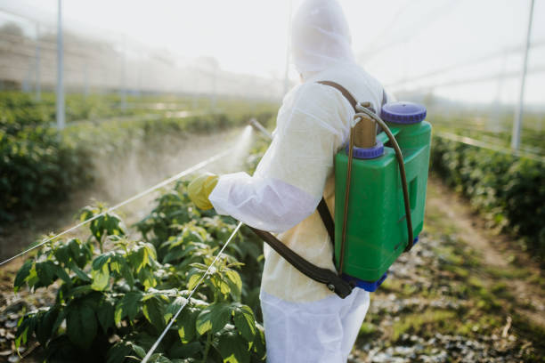 Best Commercial Pest Control Services  in Mokena, IL